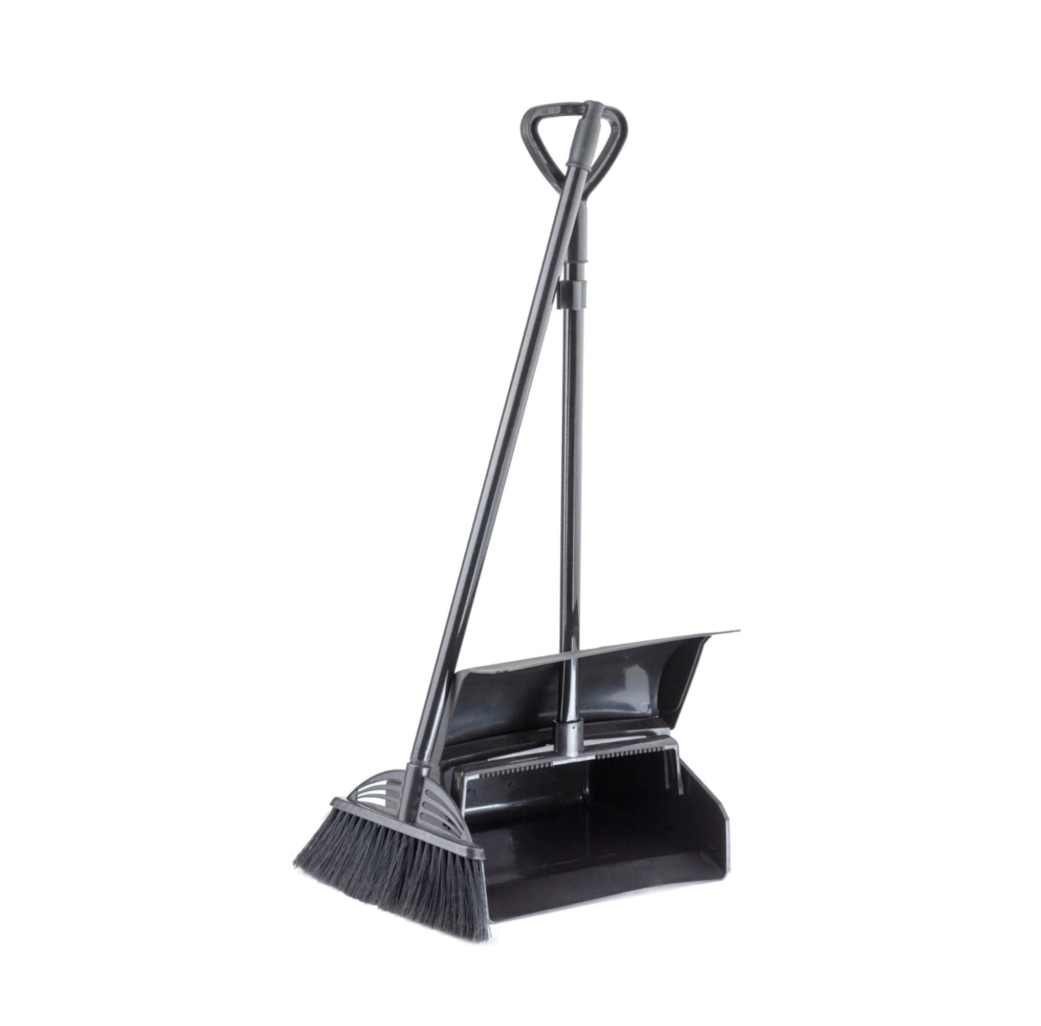 Walking Dustpan with Broom