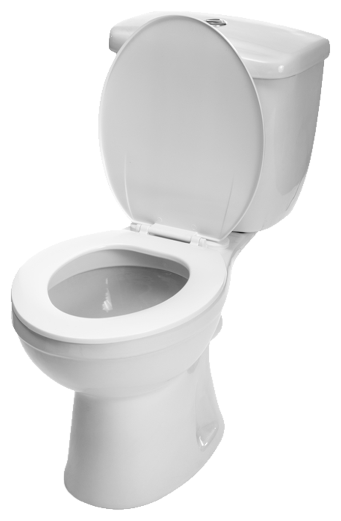 Cleansol Toilet Bowl Cleaner