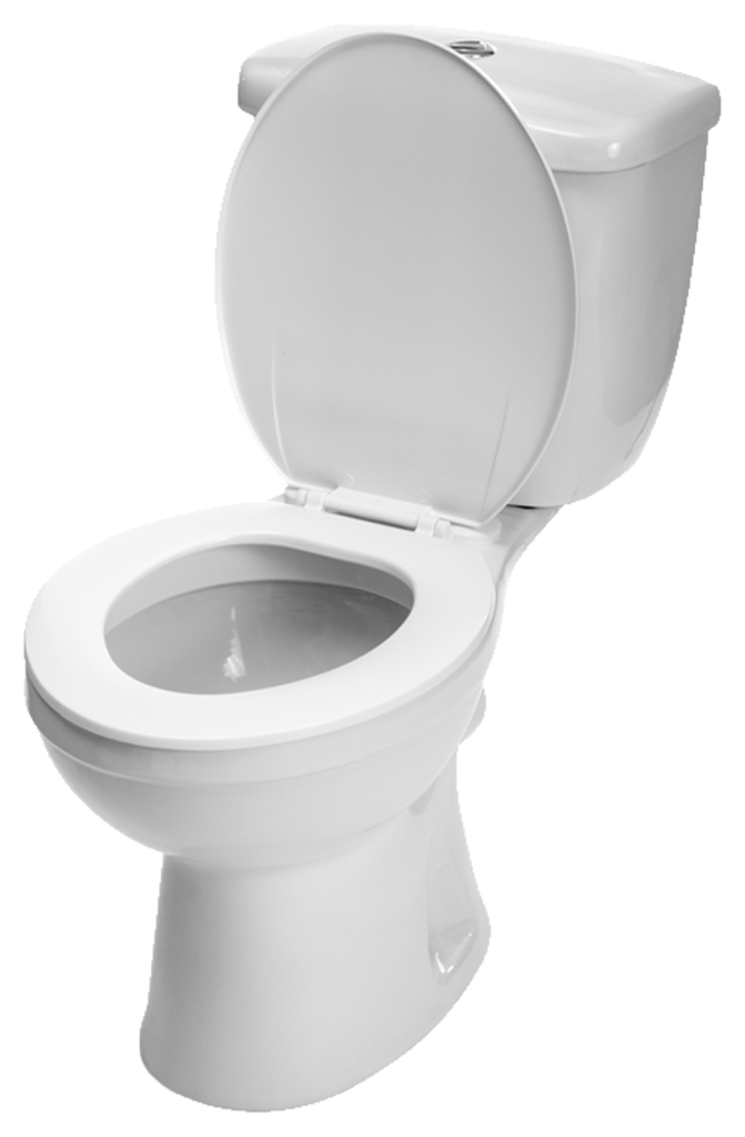 https://cleansol.in/cdn/shop/products/kisspng-toilet-bidet-seats-flush-toilet-toilet-cleaner-t-5b0006da287b01.5991445815267284101658_1024x.png?v=1687697463