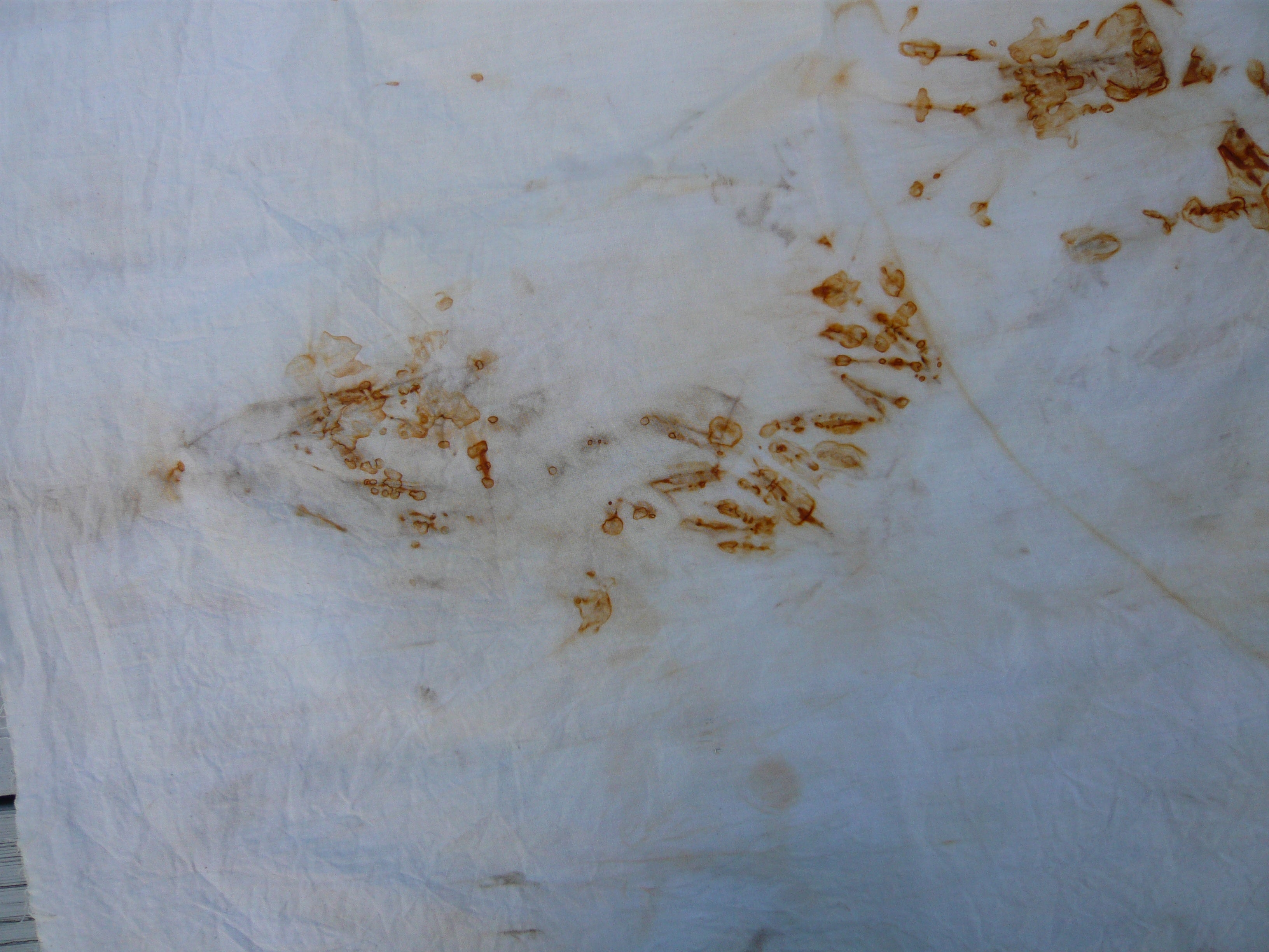 Cleansol Fabric Rust Remover